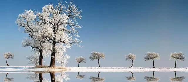 Horoskop Barana na sierpień 2026